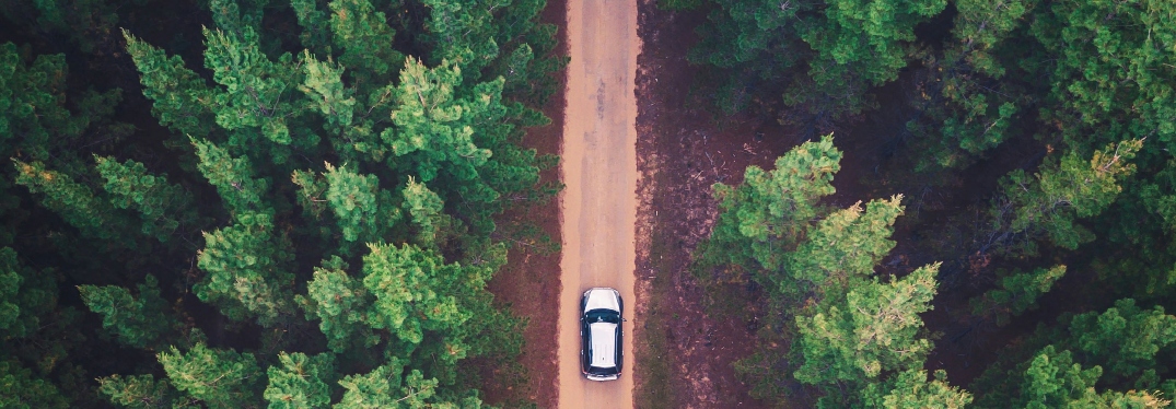 Aerial view of car driving on road through forest
