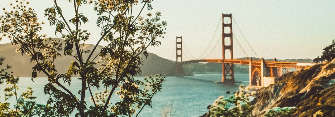 View of the Golden Gate Bridge from a Distance