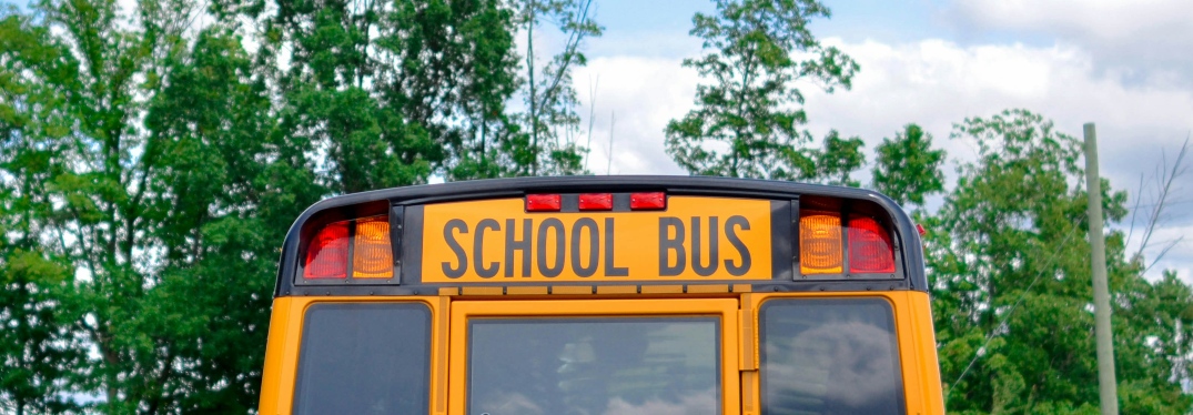 Back of school bus parked by trees