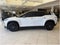 2023 Fisker Ocean Ultra Sport Utility 4D