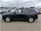 2020 Toyota RAV4 XLE Sport Utility 4D