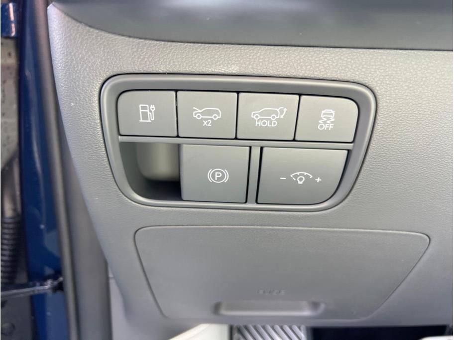 2026 Hyundai IONIQ 9 Performance Calligraphy