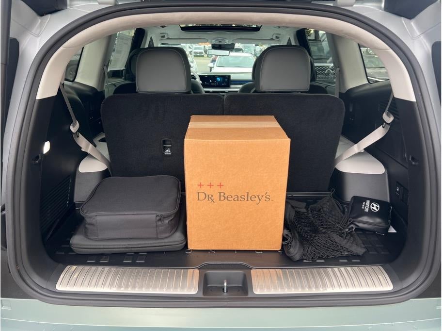 2026 Hyundai IONIQ 9 Performance Calligraphy Design