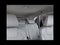 2026 Kia Sorento EX Sport Utility 4D